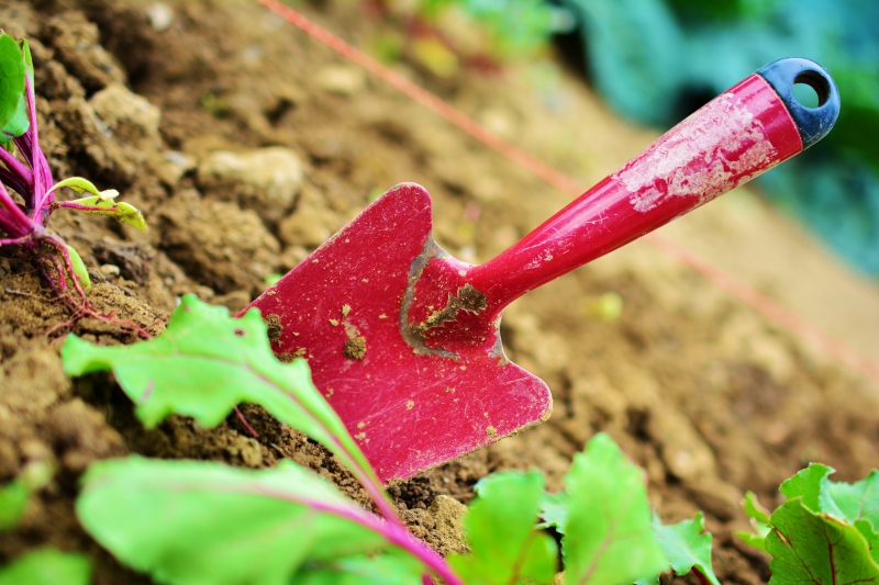 jardinerie-MEOUNES LES MONTRIEUX-min_gardening-2448134